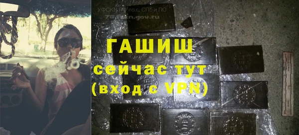 шишки Архангельск