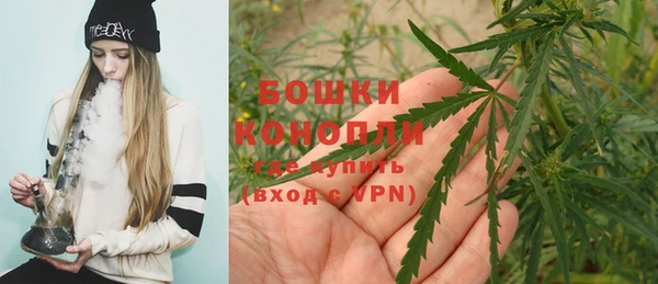 шишки Архангельск